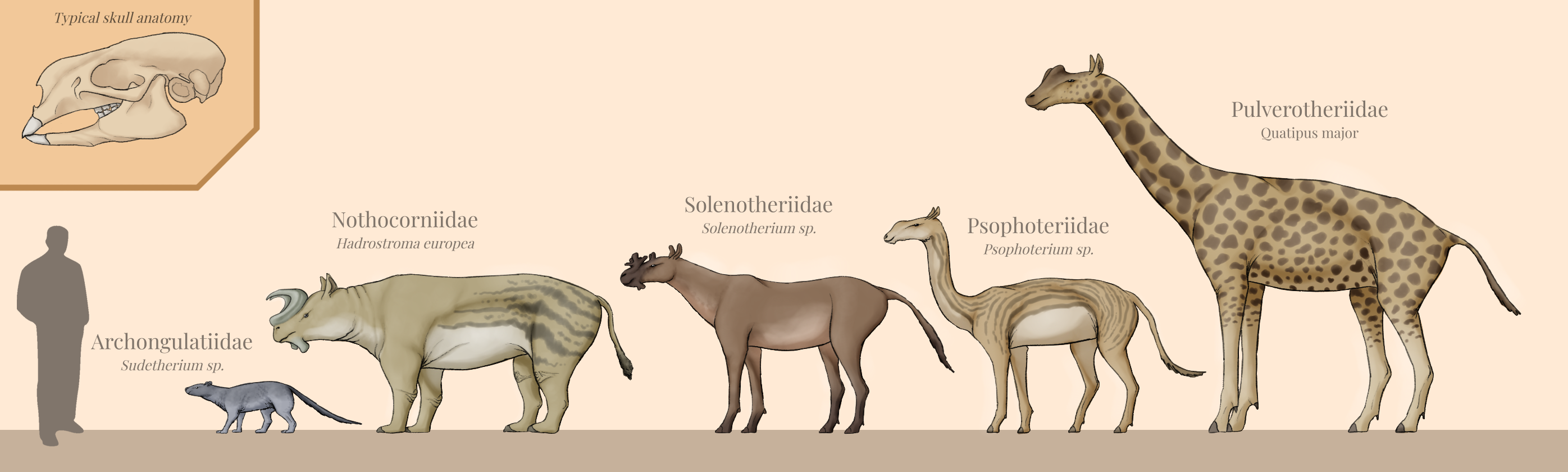 BoT: Ungulate Rodents (112 myh) by Brainloading on DeviantArt