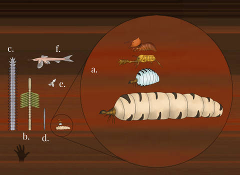 Brainloading User Profile | DeviantArt