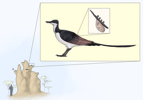 Brainloading User Profile | DeviantArt