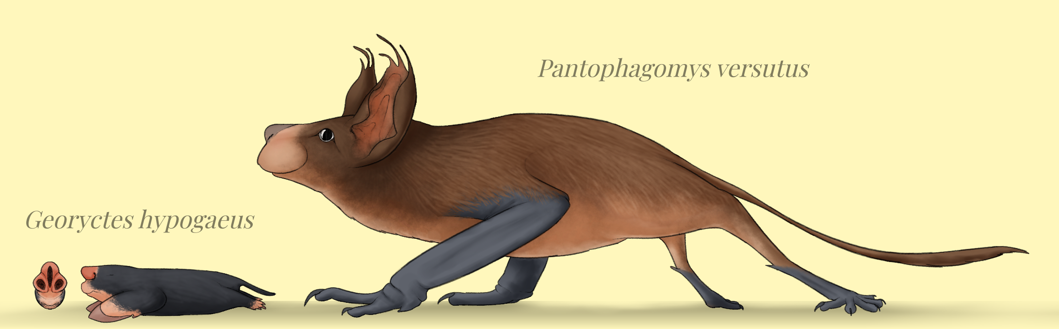 BoT: Antarctic Microbats (112 myh) by Brainloading on DeviantArt