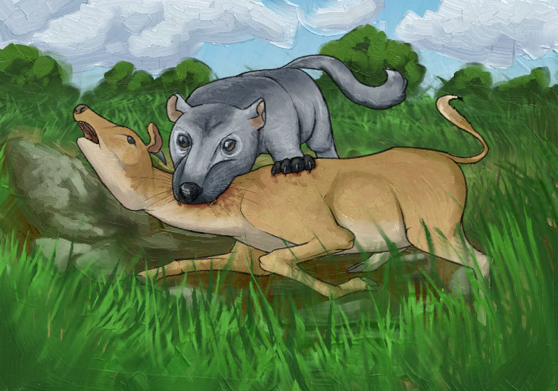 BoT: East European Forest (30 myh) by Brainloading on DeviantArt