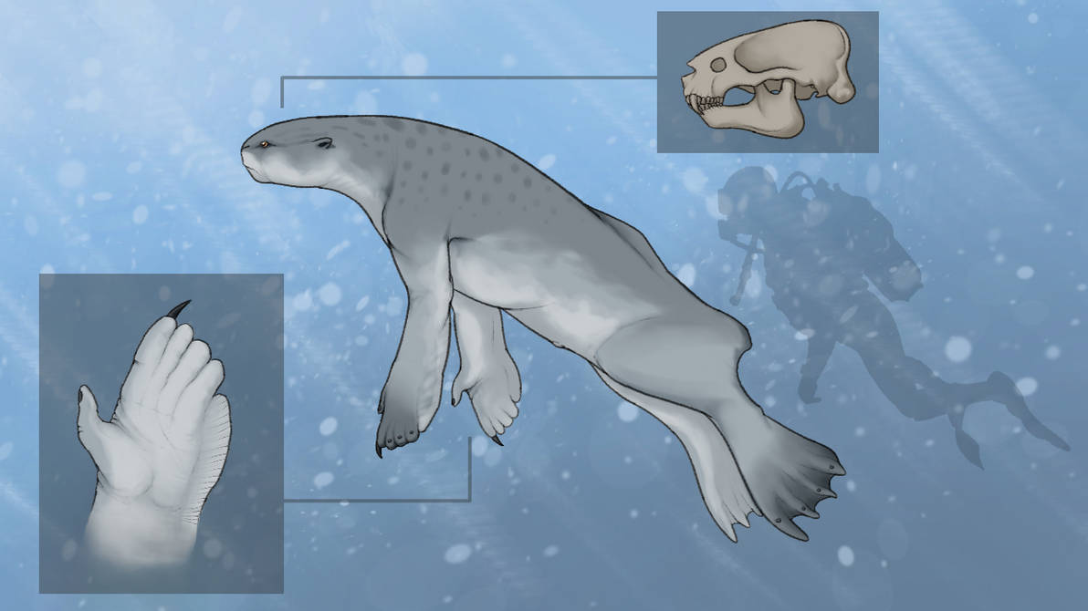 BoT: Mer - The Aquatic Ape (30 myh) by Brainloading on DeviantArt