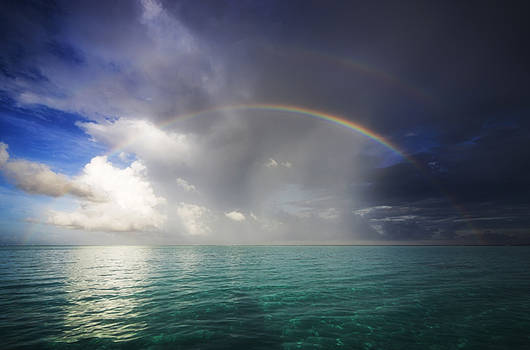 Pacific Rainbow