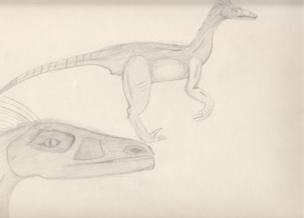 Lazer Raptor Deviantart Raptor- nothing less by lazerus-reborn on DeviantArt