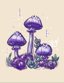 Purple mushrooms!!!