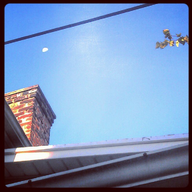 Good morning Moon