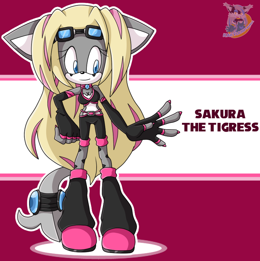 Sakura Steel Sonic Riders outfit