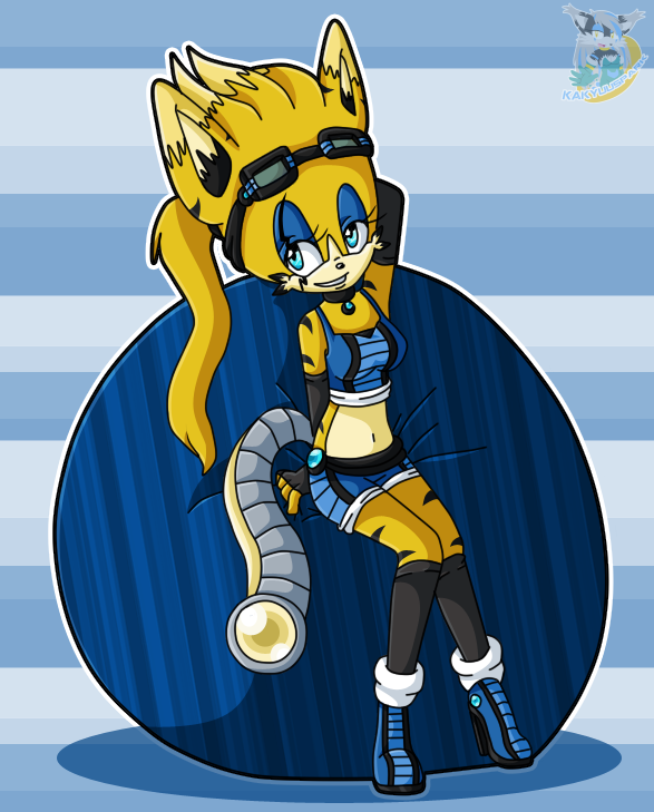 Skyspark Sonic Riders outfit