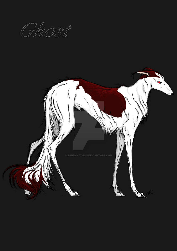 Ghost Rabbi Ghost by Rabbioctopus on DeviantArt