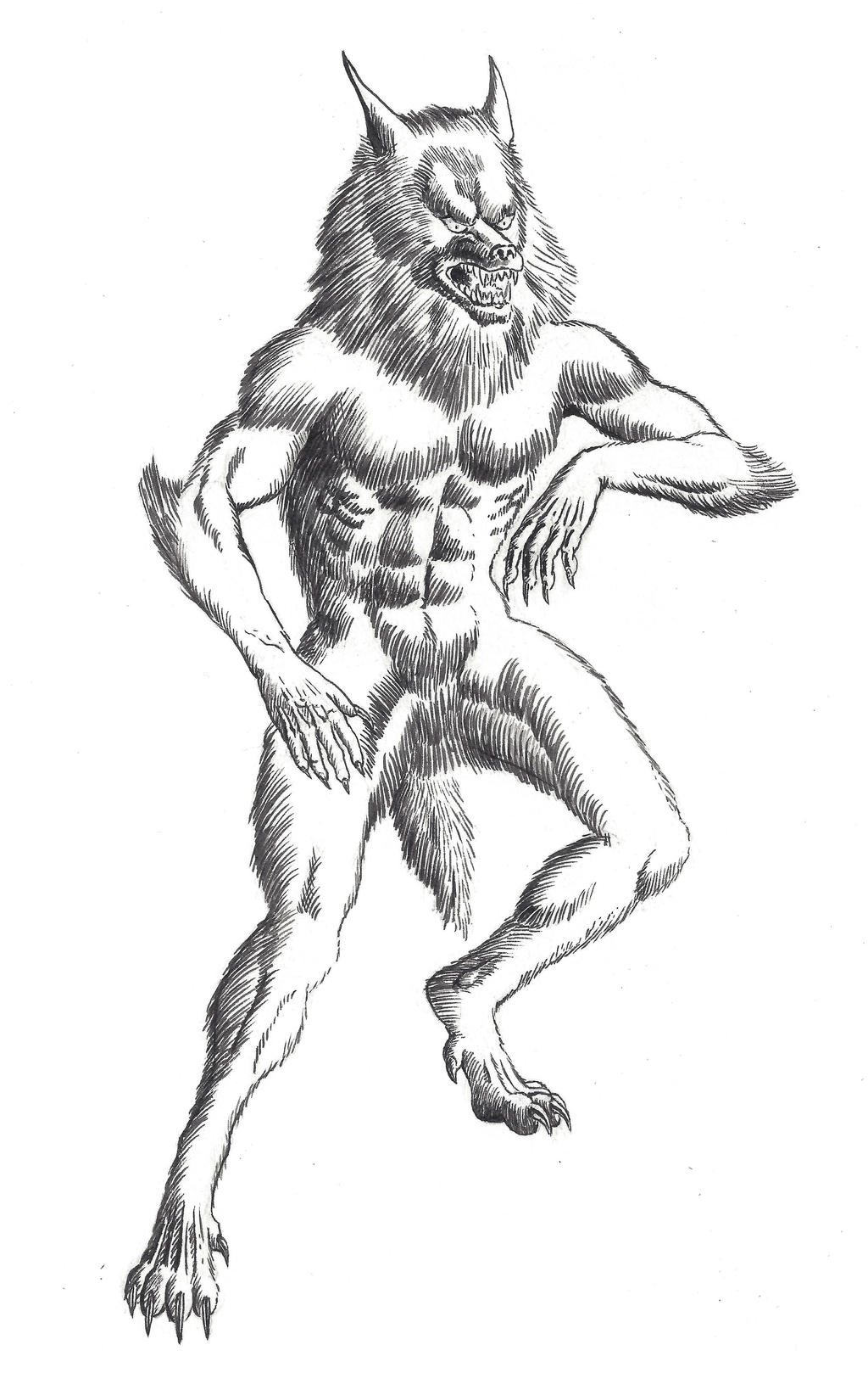 Werewolf Ink Werewolf (Brush and Ink) by crazyeric24 on DeviantArt