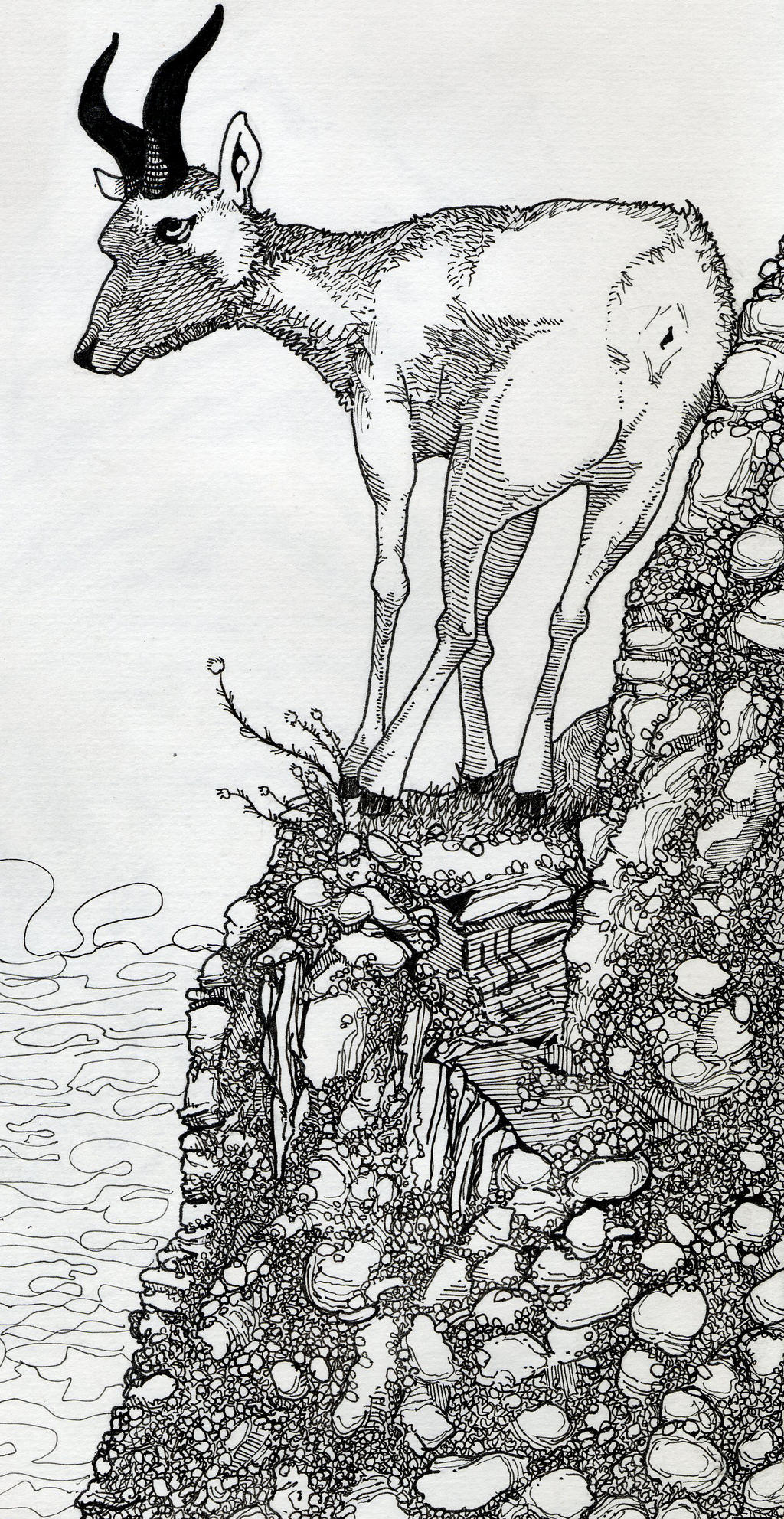 Remote Goat by DraconianArt on DeviantArt