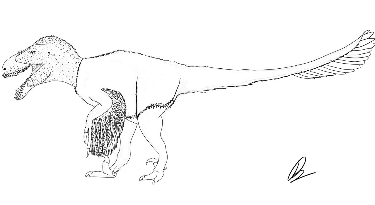 Utah Raptor Outlines Utahraptor Sketch by XENOPLEURODON on DeviantArt