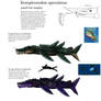 Xenopleurodon Speculatus species Infographic