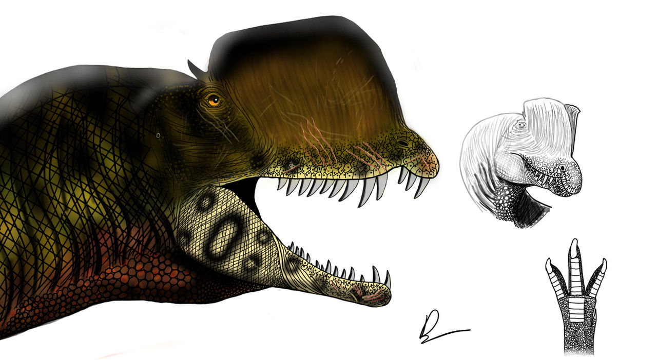 Dilo Study by XENOPLEURODON on DeviantArt