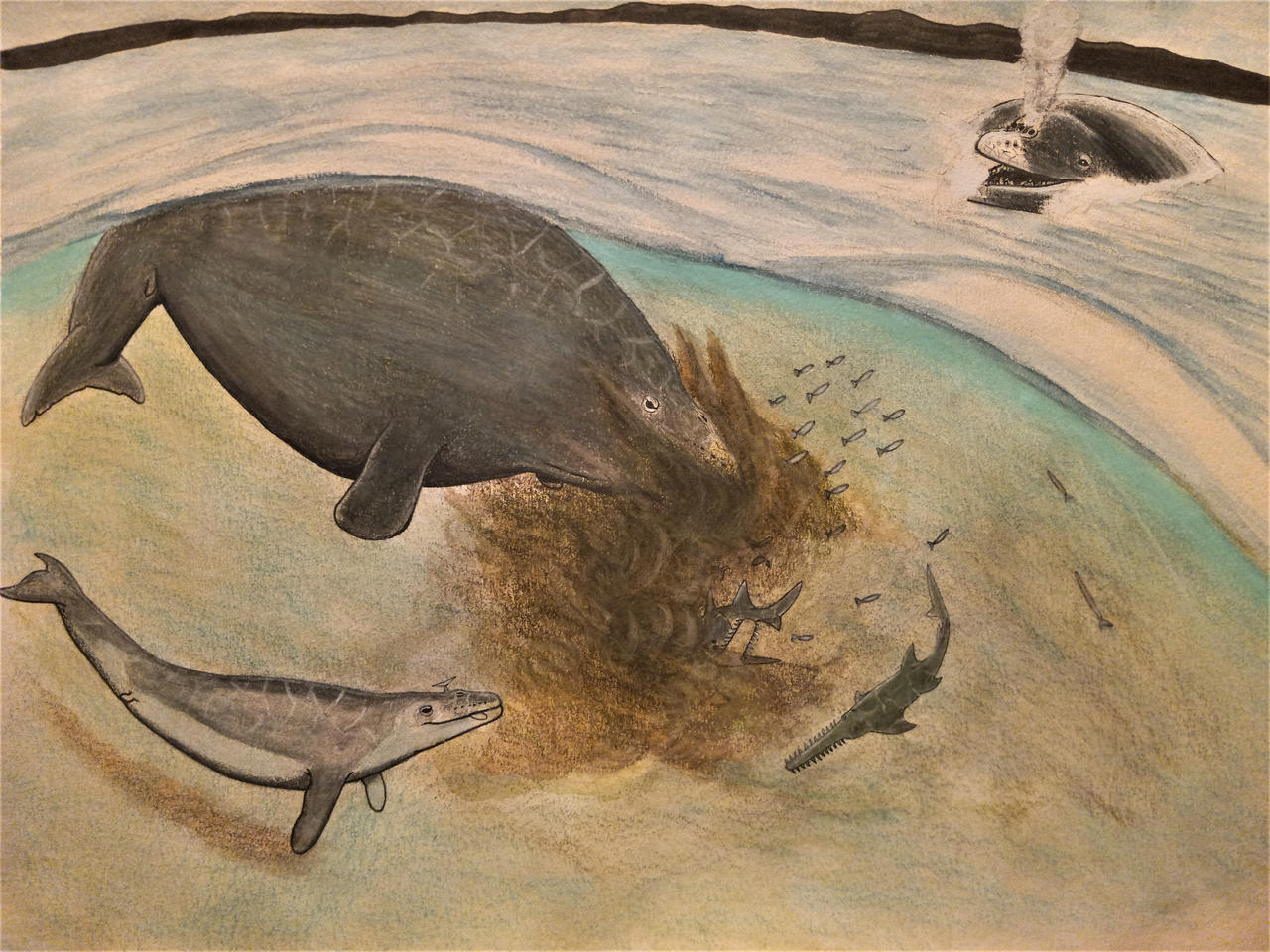 Perucetus Perucetus colossus feeding by XENOPLEURODON on DeviantArt