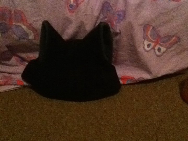 My kitty hat