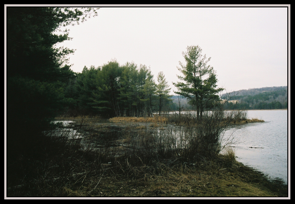 Hawkins Pond 1