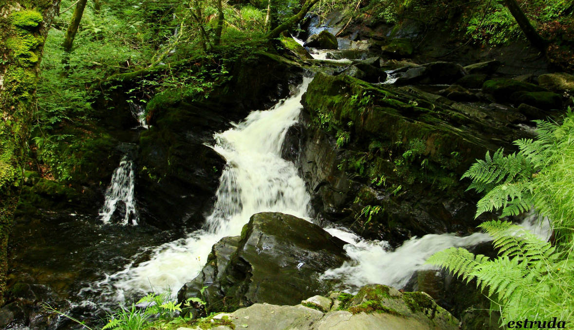 the waterfall in the woods by Estruda