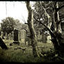 Down in the graveyard