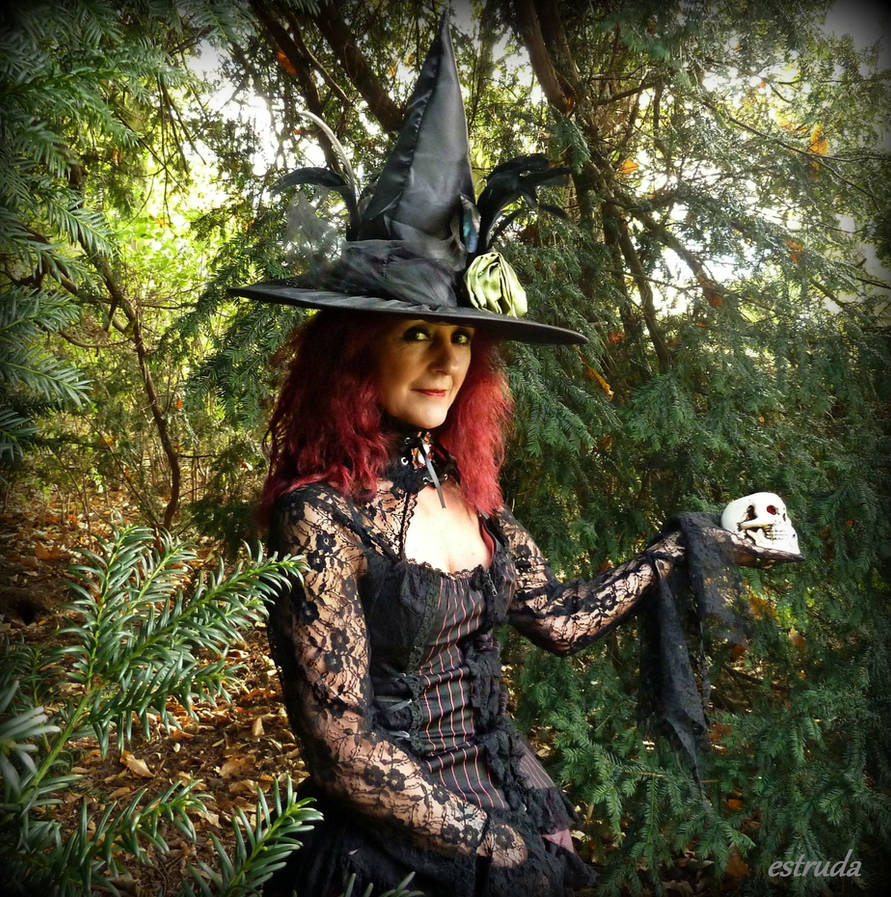 The Witch In The Woods by Estruda