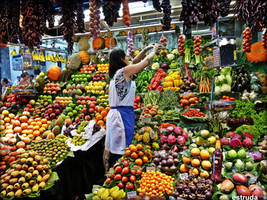 The Market Trader