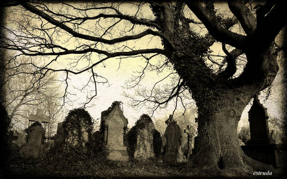 Old Victorian Cemetery