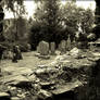 Cemetery through the ruins of an old church