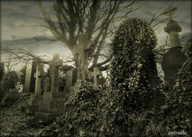 Just Another Scene From The Cemetery