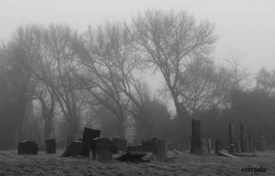 The Fog Creeps Upon The Cemetery