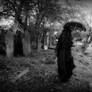 The Last Mourner