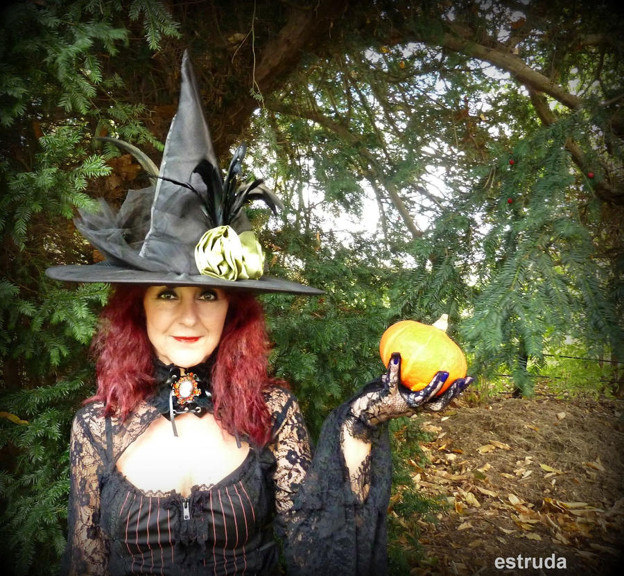 Pumpkin Anyone ? by Estruda Pumpkin Anyone ? by Estruda