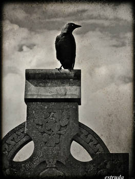 The Silence Of The Cemetery