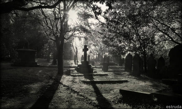All Is Quiet In The Cemetery