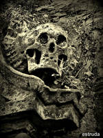 The Skull That Guards The Crypt