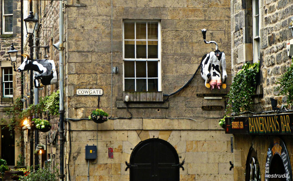 Cowgate Edinburgh By Estruda On Deviantart Cowgate Edinburgh By Estruda On Deviantart