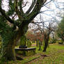 Autumn In The Cemetery