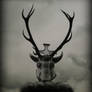 The Horned Beast