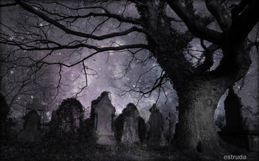 A Magical Night In The Cemetery