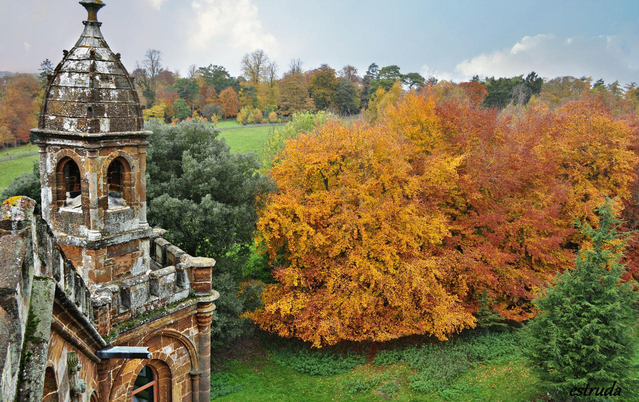 A View Of Autumn From The Gothic Temple