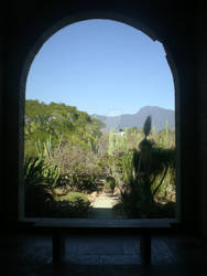 Jardin Etnobotanico