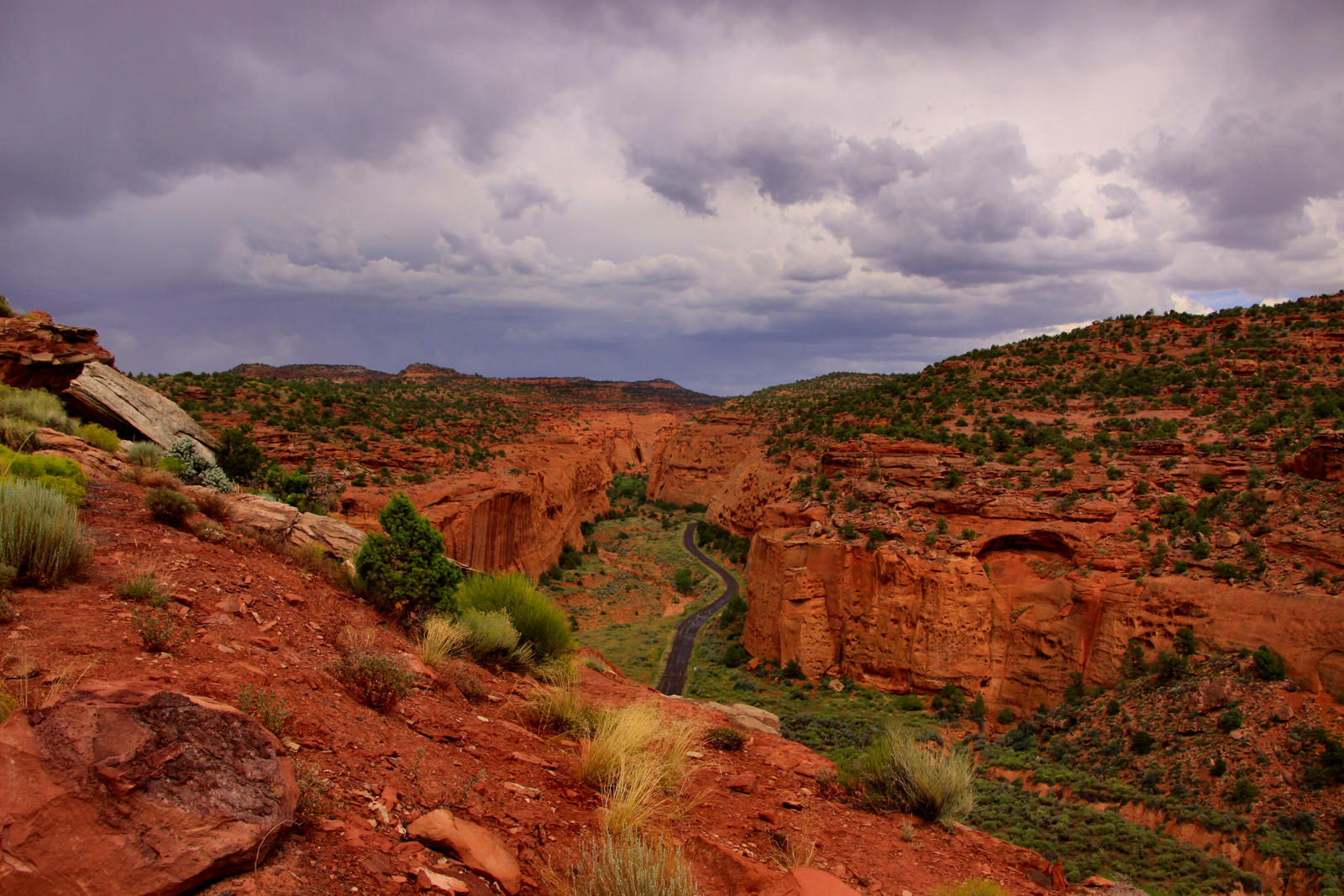 Rainy Day in Long Canyon