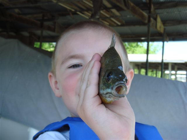 Cooper Fish 2 by irishmicc79 on DeviantArt