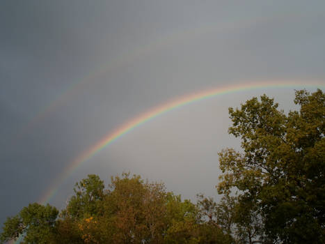 Double Rainbow