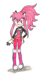 .:Shady's Sonic Riders Outfit:. by Shadystar95