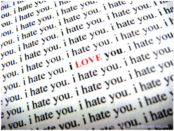 I Hate You:I Love You
