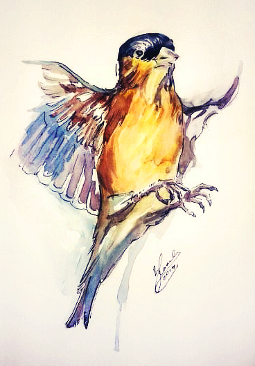 Bird- speed watercolor