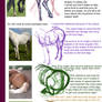 Hind-Leg Anatomy Tutorial