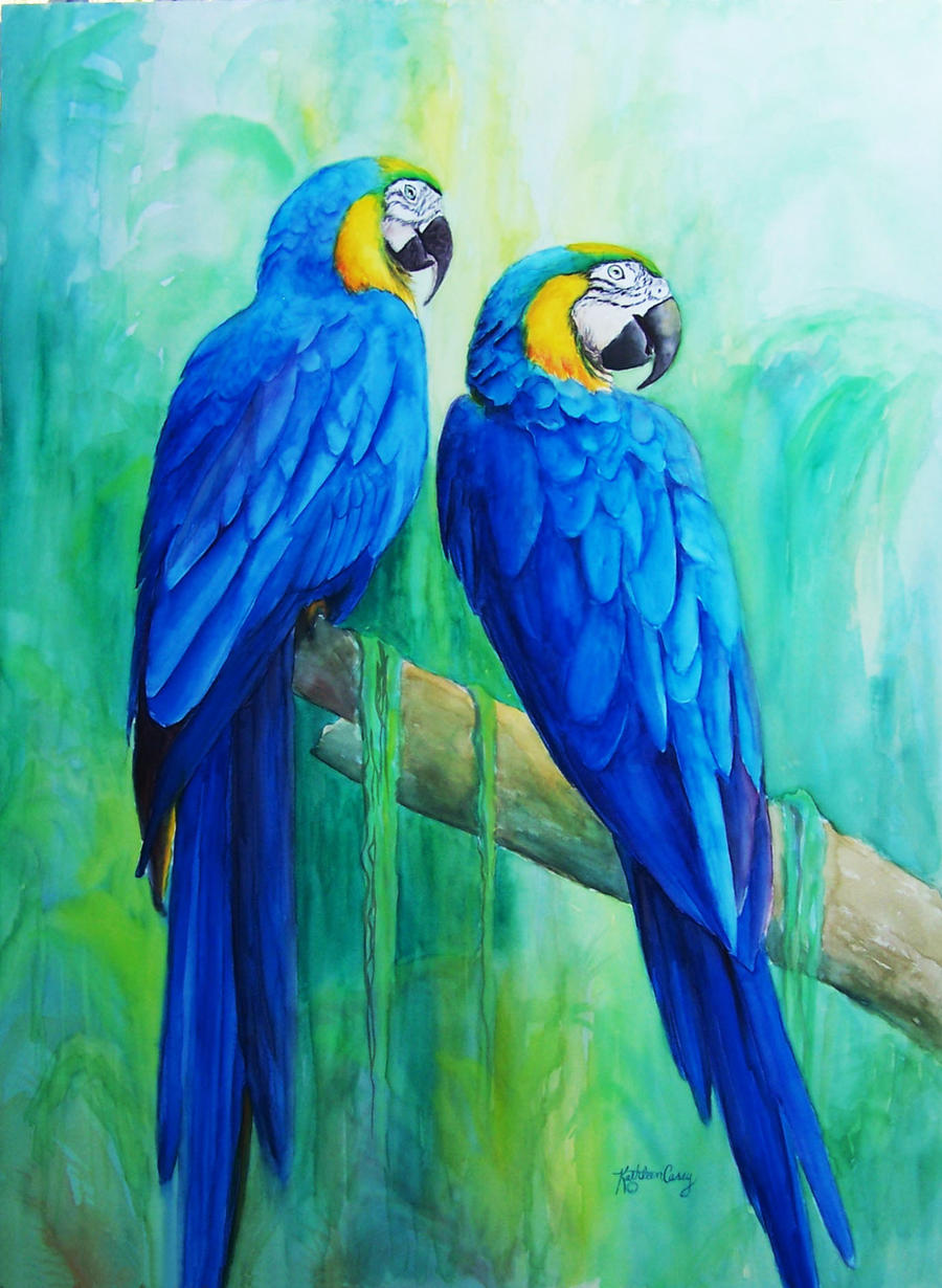 Blue and Gold Macaws