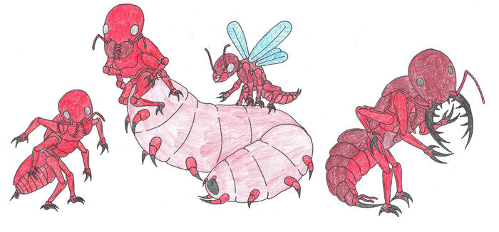 Ant Deviantart Explore the Best Ants Art | DeviantArt