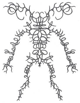 The Written Body
